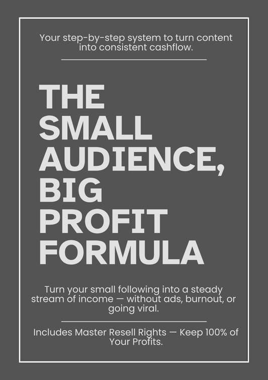 The Small Audience, Big Profit Formula – Digital Guide (Master Resell Rights Included)