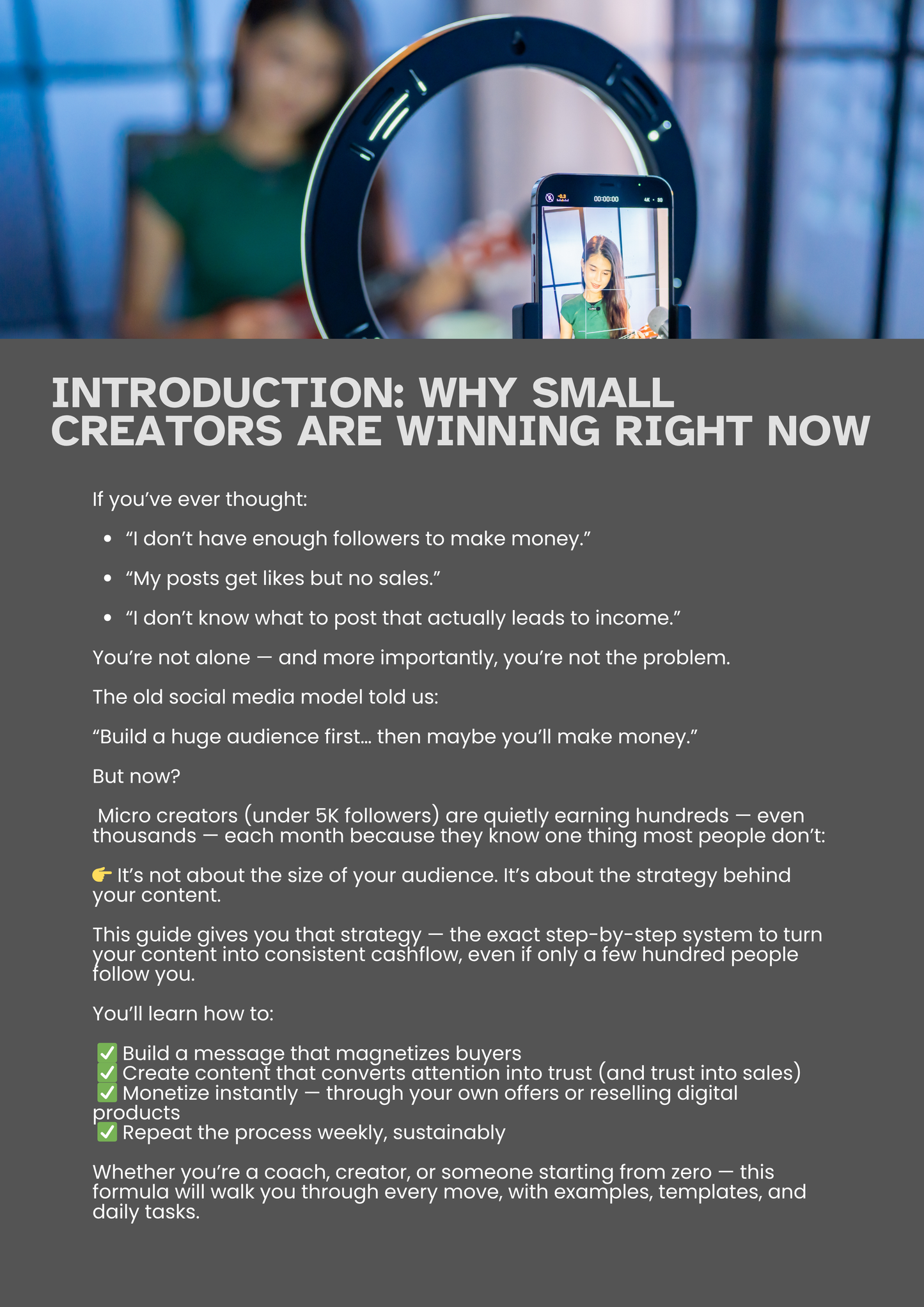 The Small Audience, Big Profit Formula – Digital Guide (Master Resell Rights Included)